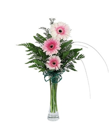 Trinity Gerbera Tribute Flower Arrangement