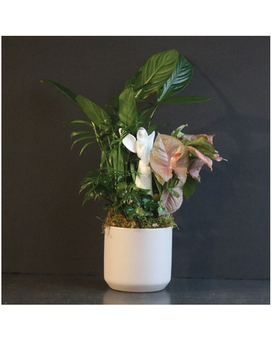 Guardian Angel Planter Flower Arrangement
