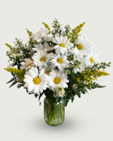Wild Daisy in Duluth MN - Engwall Florist & Gifts
