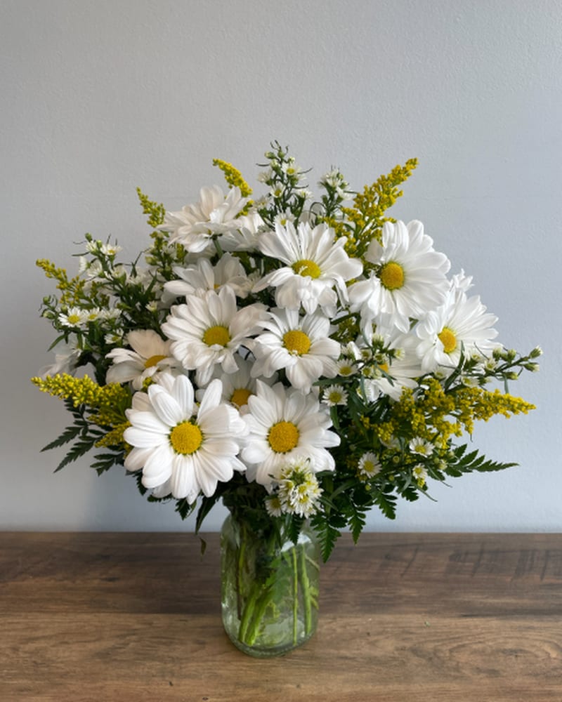 ※Daisy Daisy Seed Collection – SurvivalGardenSeeds