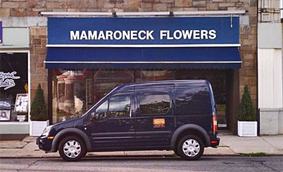 About Mamaroneck Flowers - Mamaroneck, NY Florist