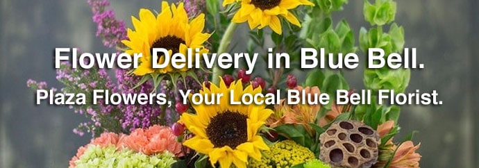 Flower Delivery in Blue Bell, PA