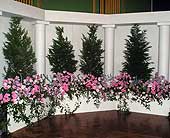Other Reception Decorations