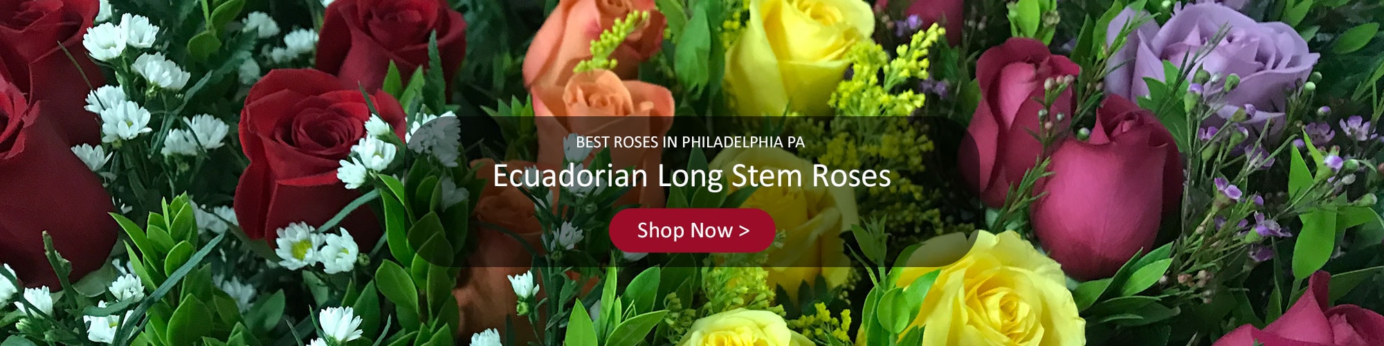 Penny Flowers Glenside Pa 19038 Best Flower Site