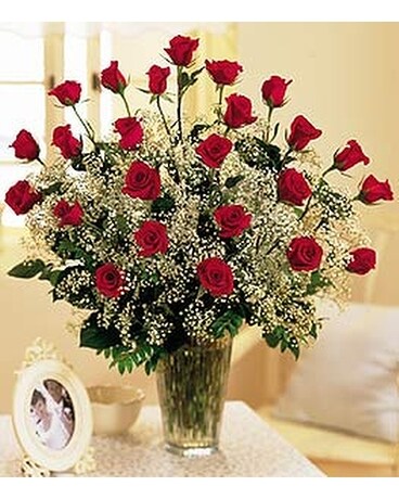 Valentine Roses by the Dozen