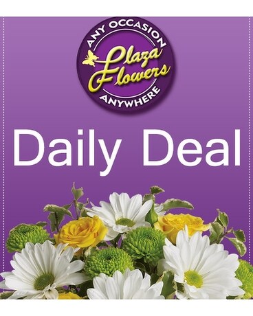 Daily Deal