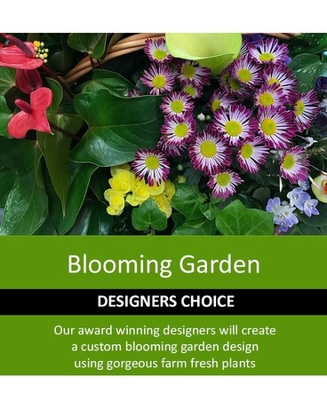 Blooming Garden Daily Deal
