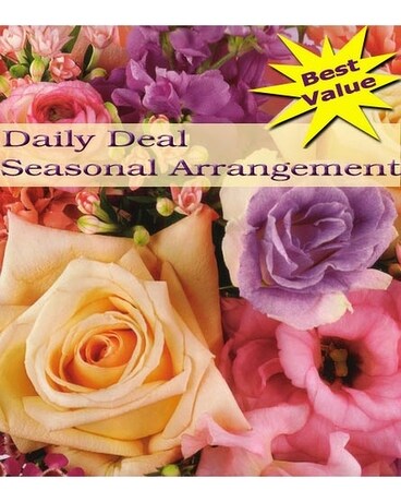 Seasonal Arrangement Daily Deal