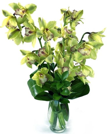 Heartwarming Orchids Flower Arrangement