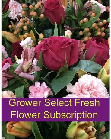 Weekly Bouquet Subscription Flowers