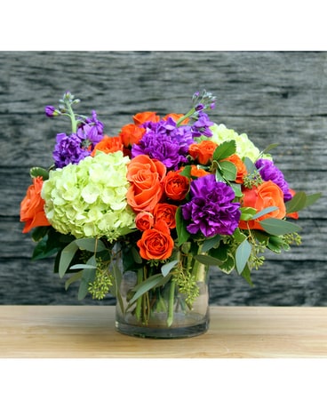 Penny's by Plaza Vibrant Gratitude Flower Arrangement