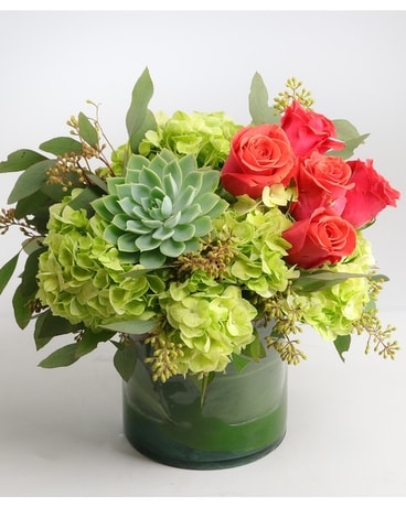 Succulent Splash Flower Arrangement