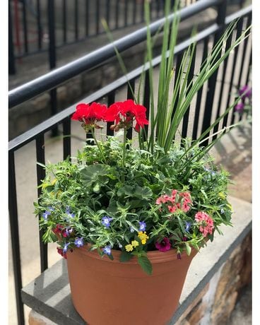 Summer Porch Pots Plant