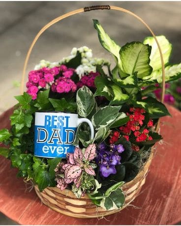 Best Dad Blooming Basket Plant