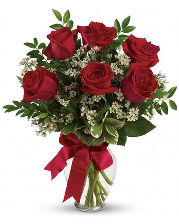 Classic Red Roses