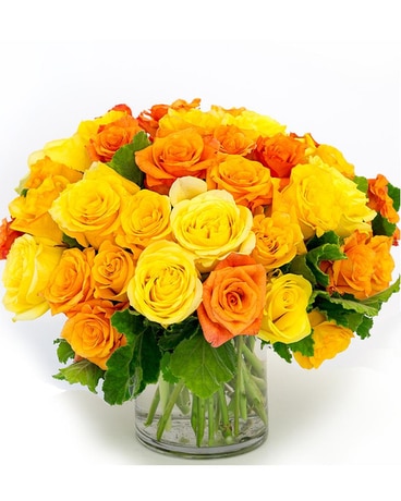 Rose Harvest Flower Arrangement