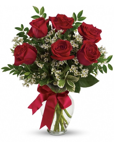 Half Dozen Philly Area Roses Flowers