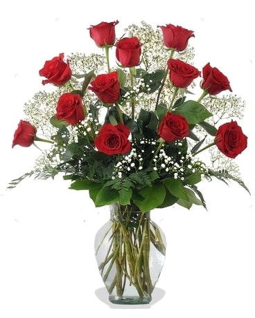 One Dozen Philly Area Roses Flower Arrangement