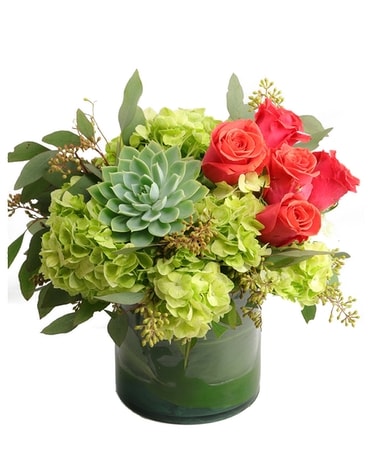 Succulent Splash Flower Arrangement
