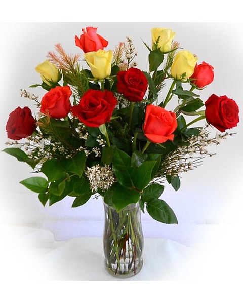 12 Assorted Long Roses Vased in Norristown PA - Penny's By Plaza Flowers