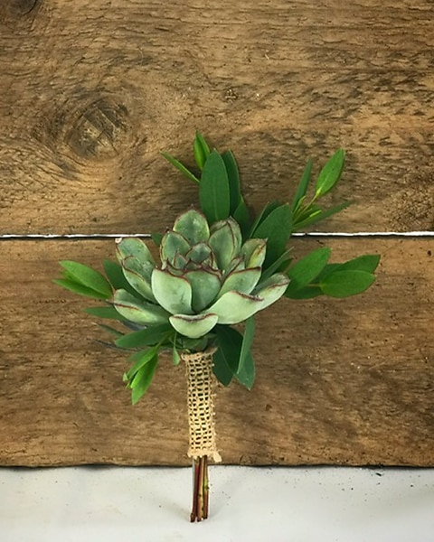 Succulent Boutonniere in Norristown PA - Penny's By Plaza Flowers