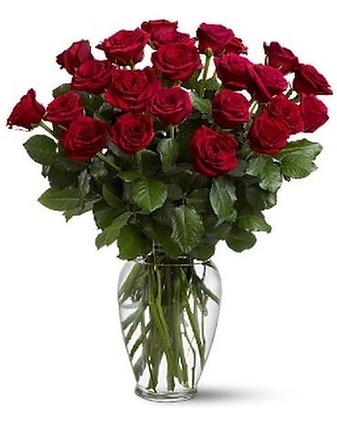 Two Dozen Philly Area Roses Flower Arrangement