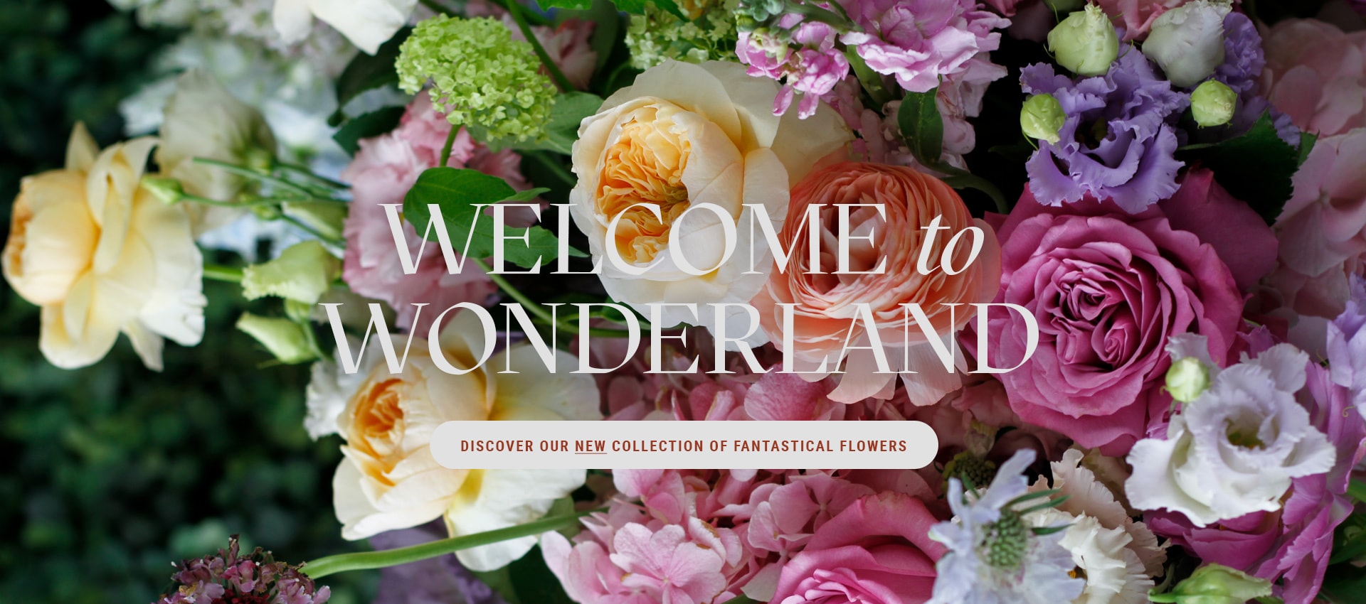 Dallas Florist Flower Delivery by Dr Delphinium Designs & Events