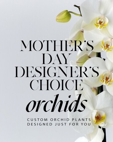 Mother's Day Designer's Choice Orchids Flower Arrangement