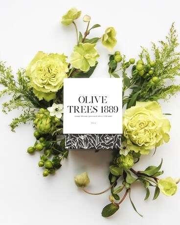 Olive Trees 1889 Candle Jar Candle
