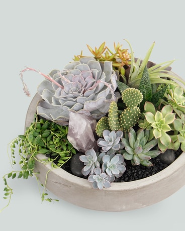 SONORA // Cacti + Succulent Centerpiece Flower Arrangement