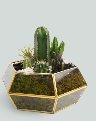 MANDALA // Geometric Terrarium Flower Arrangement
