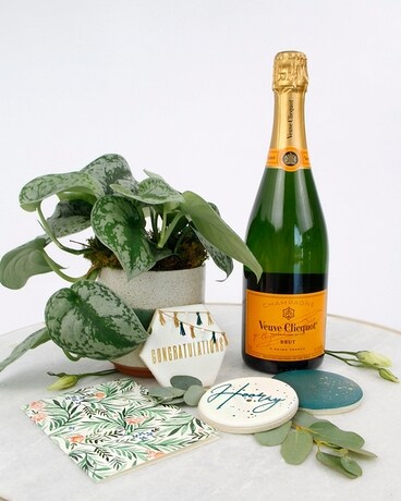 POPPIN' BOTTLES // Congrats Plant & Cookie Trio Flower Arrangement