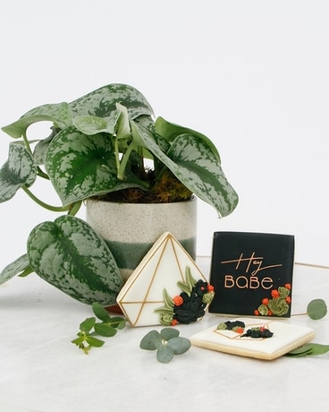 OH, HELLO // Just Because Plant & Cookie Set Flower Arrangement