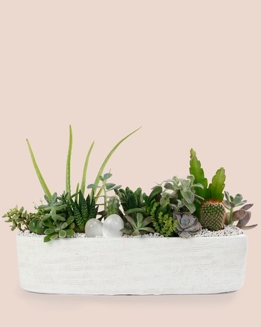 CLOUD ATLAS // Cacti + Succulent Centerpiece Flower Arrangement