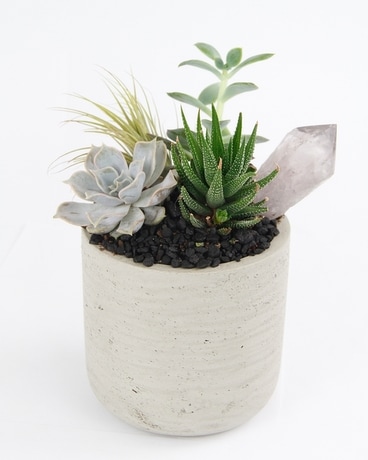 FAIRY GROTTO // Succulent & Crystal Mini Planter Flower Arrangement