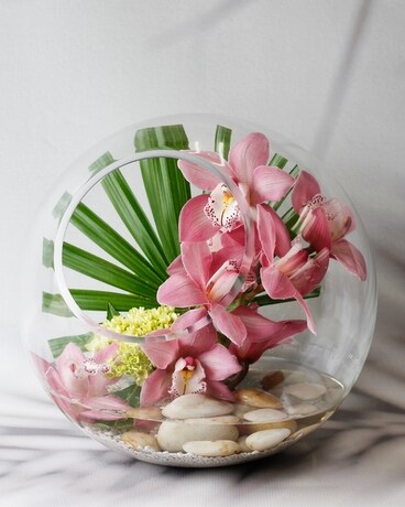Pebble Beach Orchid Terrarium Flower Arrangement