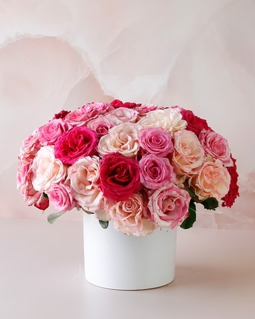 French Pavé Roses | Miraval Pink in Dallas TX - Dr Delphinium