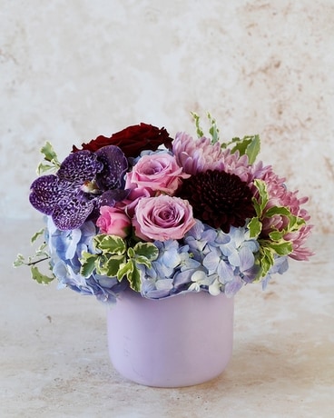 Summer Flowers | Plants Delivery Dallas TX - Dr Delphinium Designs