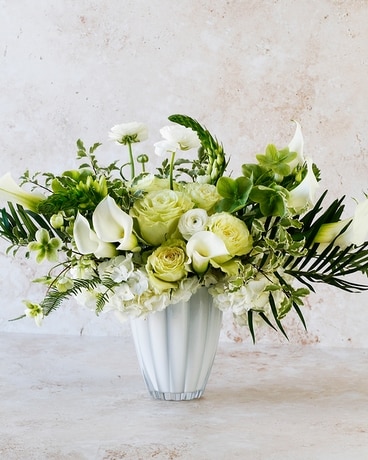 Summer Flowers | Plants Delivery Dallas TX - Dr Delphinium Designs