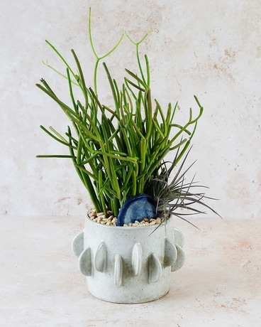 hanging terracotta planter Terracotta hanging conical planter pot for home garden balcony decor