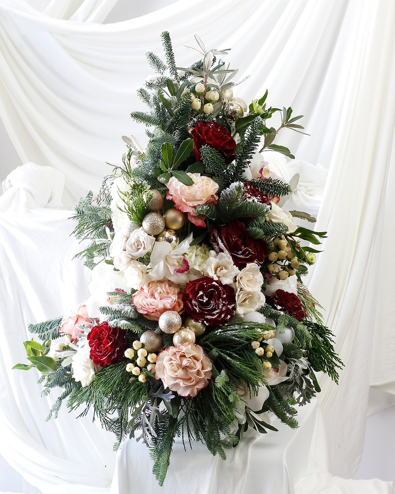 Sequoia Candy Heart | Tabletop Tree in Dallas TX - Dr Delphinium