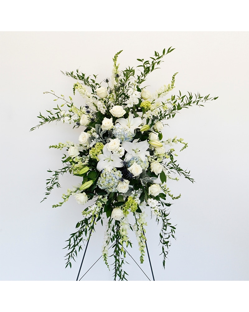 flowers for algernon 様取り置き専用　エグゾト 934 flowers for algernon 様取り置き専用 エグゾト 934 flowers for