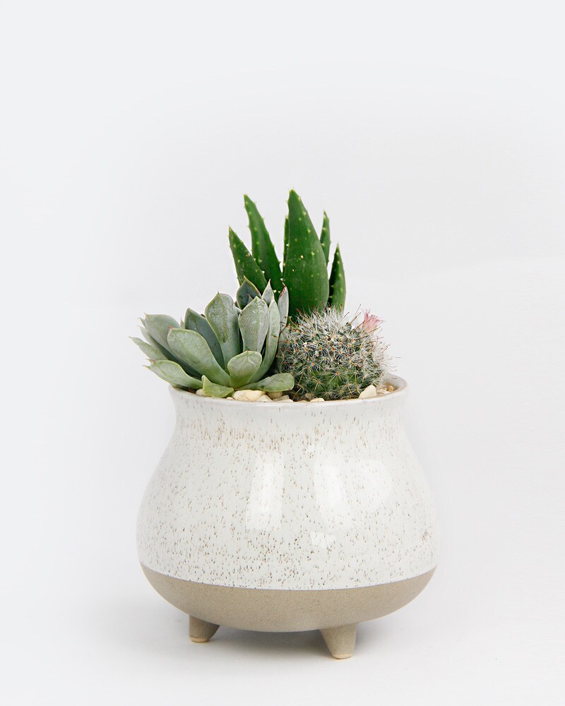 Real Marble Cactus Succulent Pot, Planter, order Gift