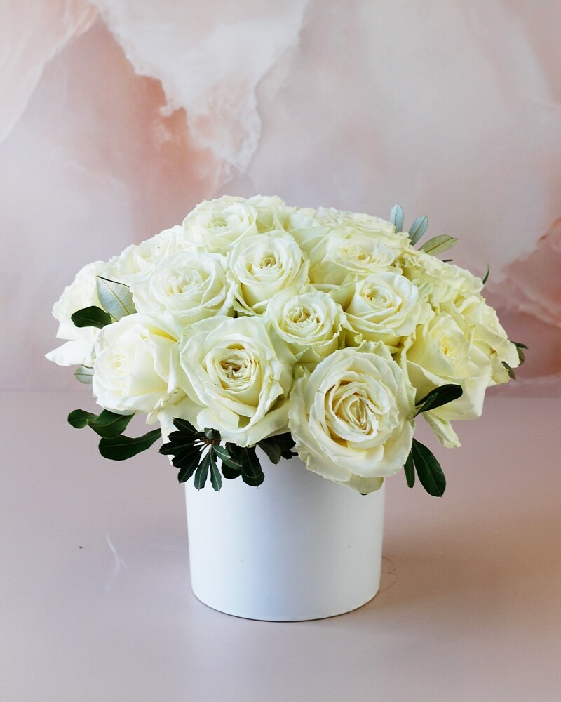 French Pavé Roses | White Diamond in Dallas TX - Dr Delphinium