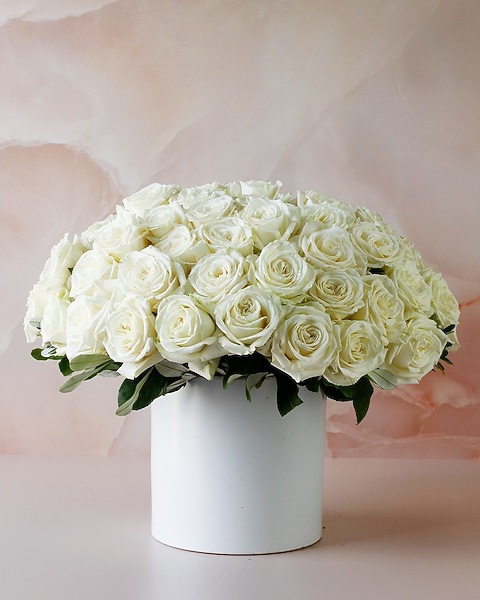 The Dallas Roses - White Diamond in Dallas TX - Dr Delphinium 