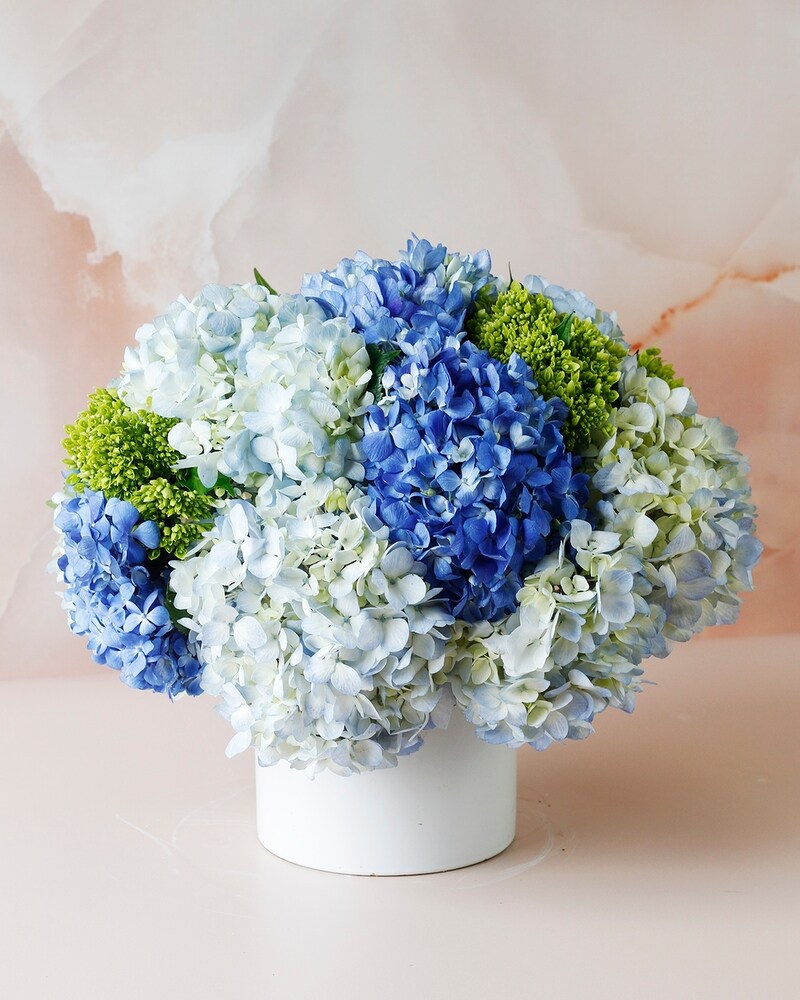 IVIVVA イヴィヴァ ジャケット Hydrangea Blue 新品 Hortensia Couture | Winston Blue in Dallas TX - Dr Delphinium