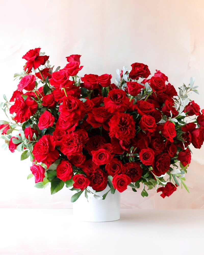 The 100 Roses | Legacy Red in Dallas TX - Dr Delphinium Designs
