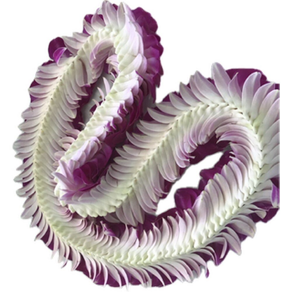 Centipede Orchid Leis-Purple/White (Bom) in Eagle River AK