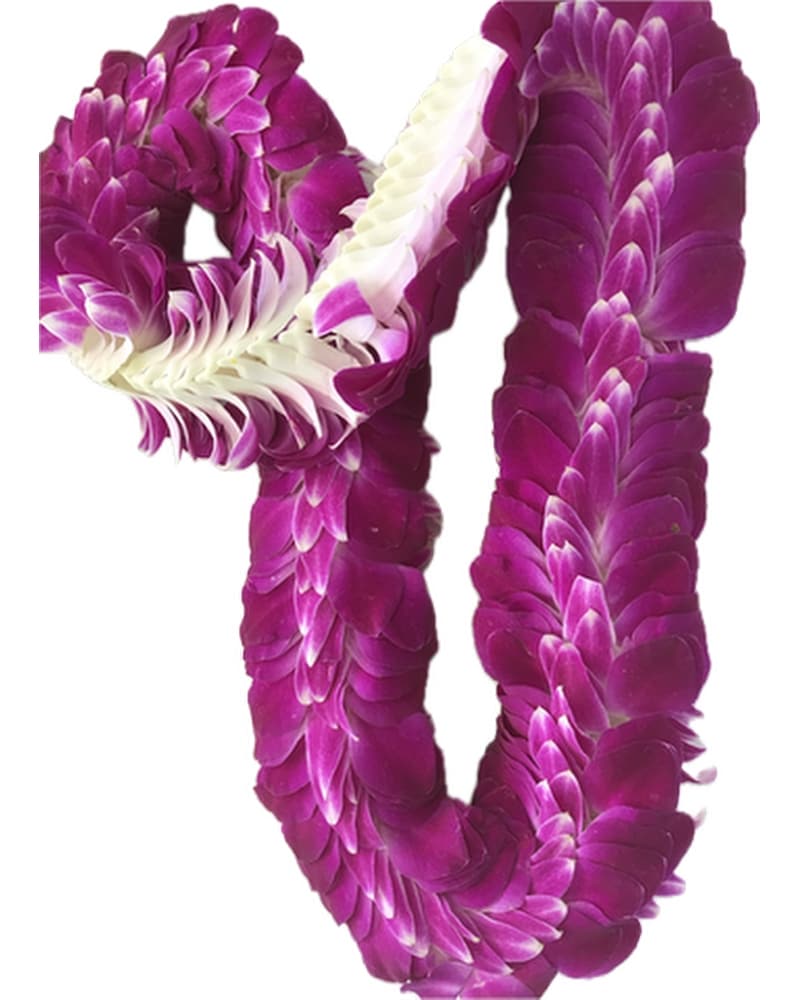 Centipede Orchid Leis-Purple/White (Bom) in Eagle River AK