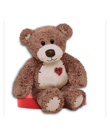 Tender Teddy